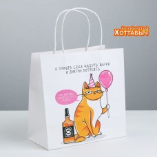 Пакет подарочный «Туса» кот